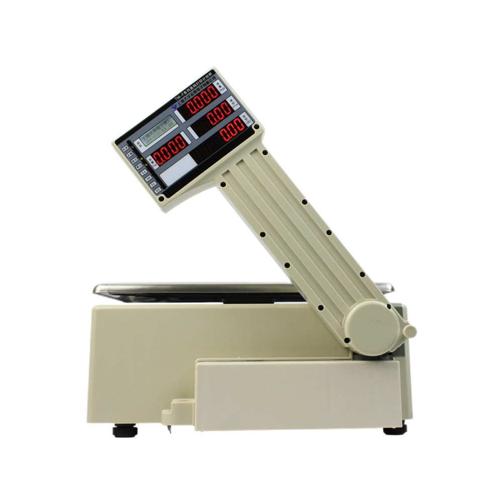 Electronic Weighing Scales Barcode Label Printing Scale for Fruit Shop (HCC-ACS10)