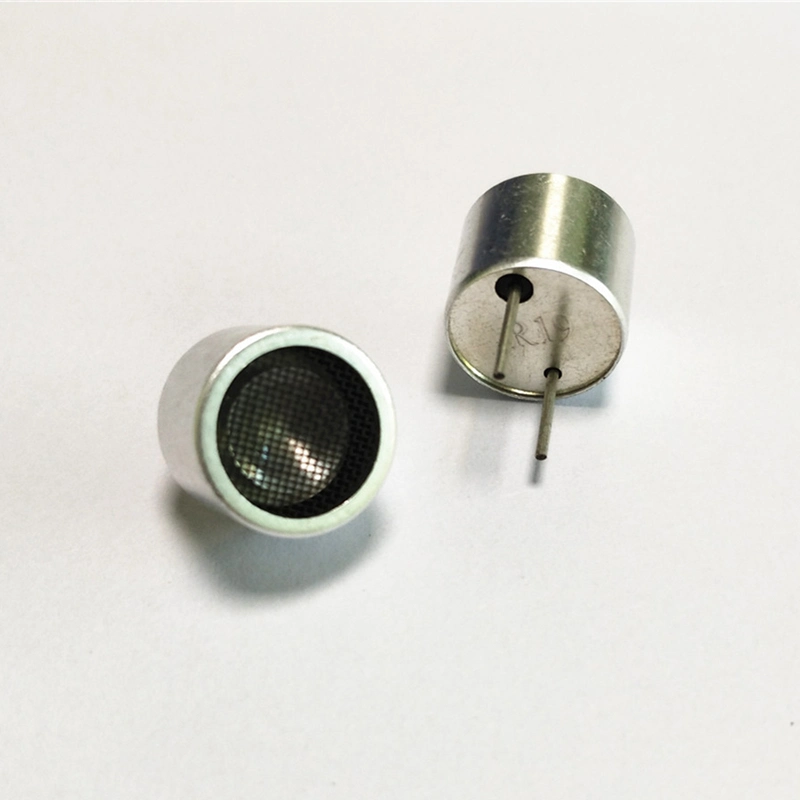 Ultrasonic Sensor Transducer Receiver Transmitter R and T 19kHz Kt19-R1611/R2411 Ultrasonic Probe