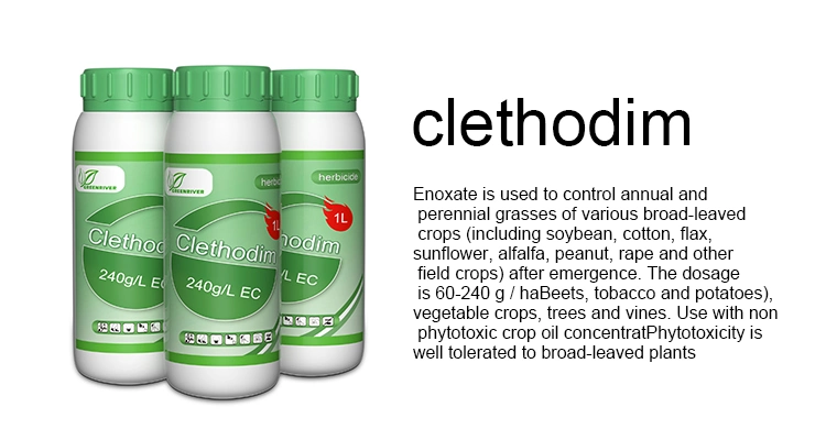 Herbicide ce de 240 G/L de cléthodime pour le champ de soja