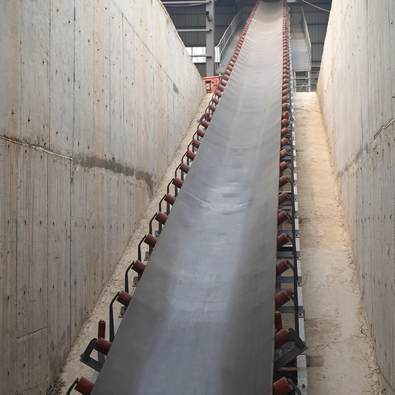 Convoyeur à courroie et système de courbure de convoyeur à rouleaux pour les chaînes de montage Par Gainjos