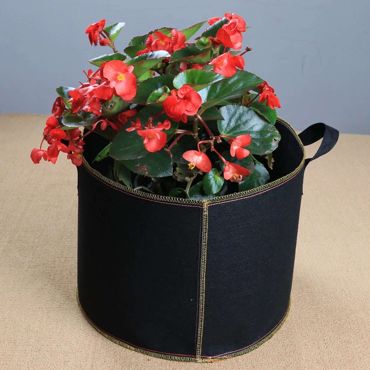 Non-Woven Garden Decorative Plant/Flower Growing Pot Grow Bag with Handle Basin Otatoes Vertical Garden Pot Planter Bag for Vegetables