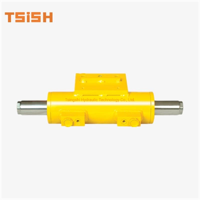 China Supplier Tsish Custom Design Small Piston Micro Bore Mini Rod Short Stroke Double Acting Hydraulic Cylinder for Scissor Lift Table Farm Tractor Loader