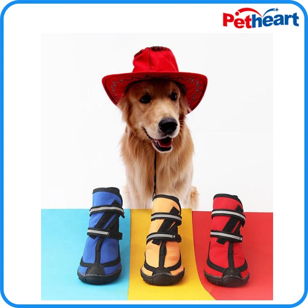 Manufacturer Waterproof Pet Dog Mesh Shoes, Pet Accessories