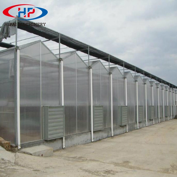 200 Micron Film with UV Protection Large Greenhouse