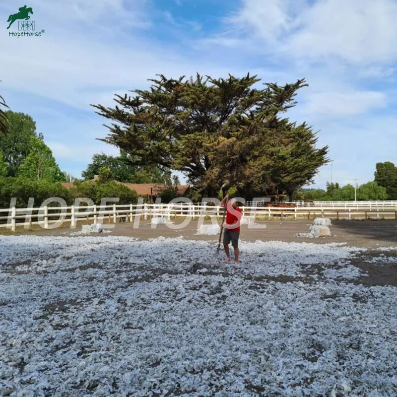 Géotextile et pied de la fibre pour chevaux au sol équestre de produit