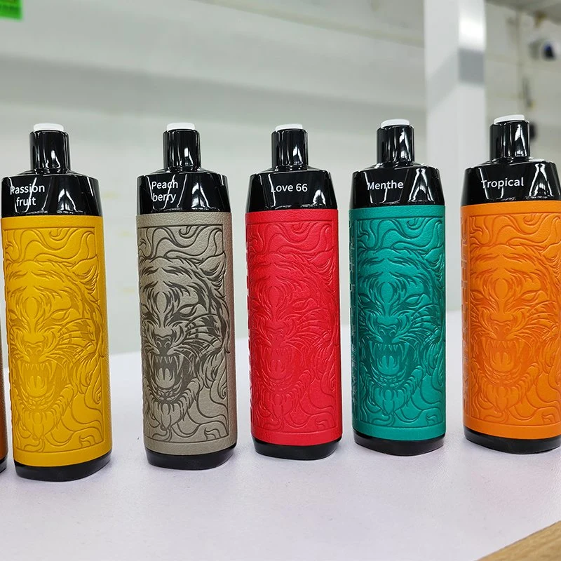 OEM Wholesale/Supplier Sub Ohm mesh Coil Big Smoke Vape Pen Type C rechargeable jetable Vape Deluxe Leather Bar E-cigarette 5000 6000 9000 10000 bouffées de 10 000