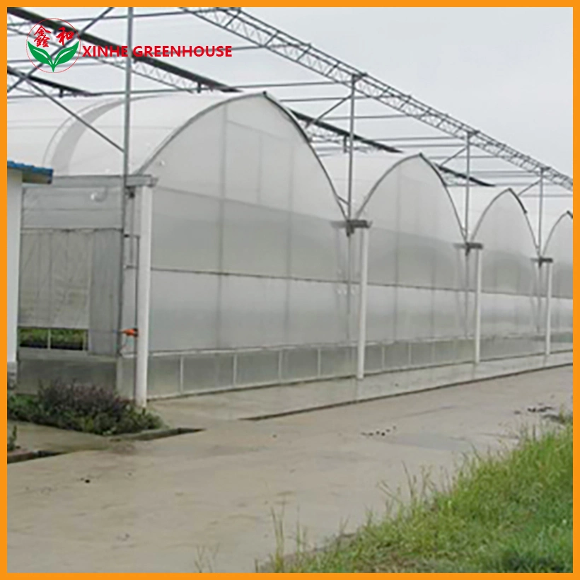 Multi-Span PE Film plástico Agricultural Greenhouse para la Agricultura