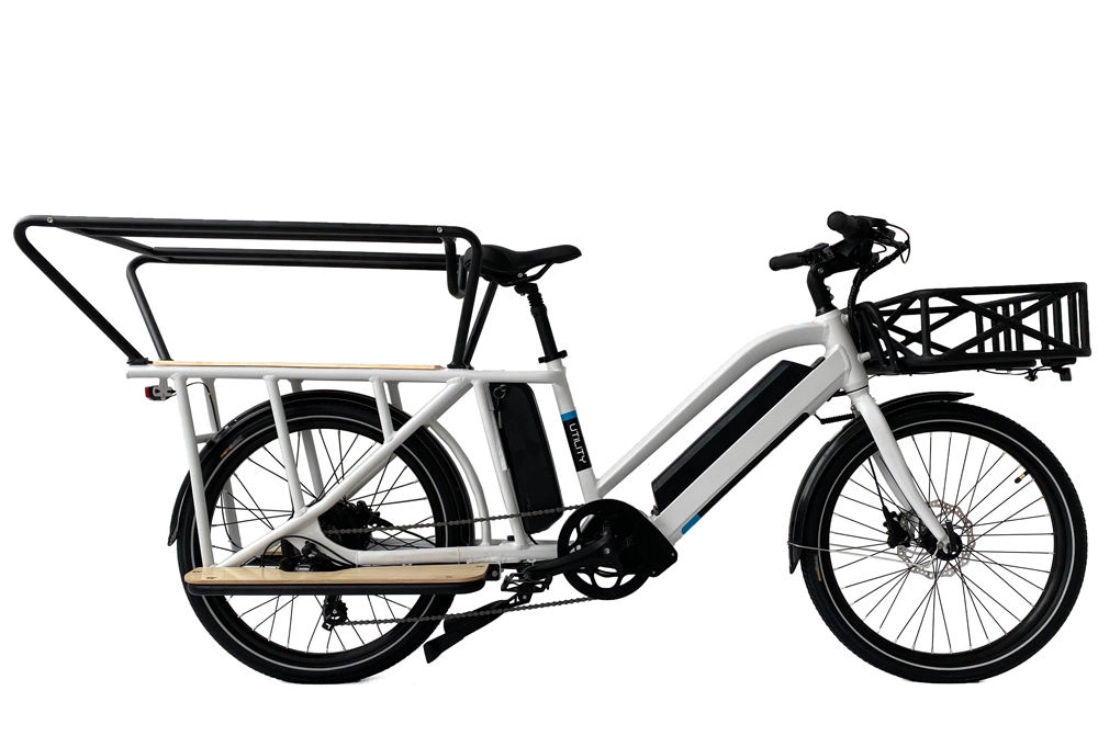 2023 Latest Utility 500W Electric Cargo Bike for Family