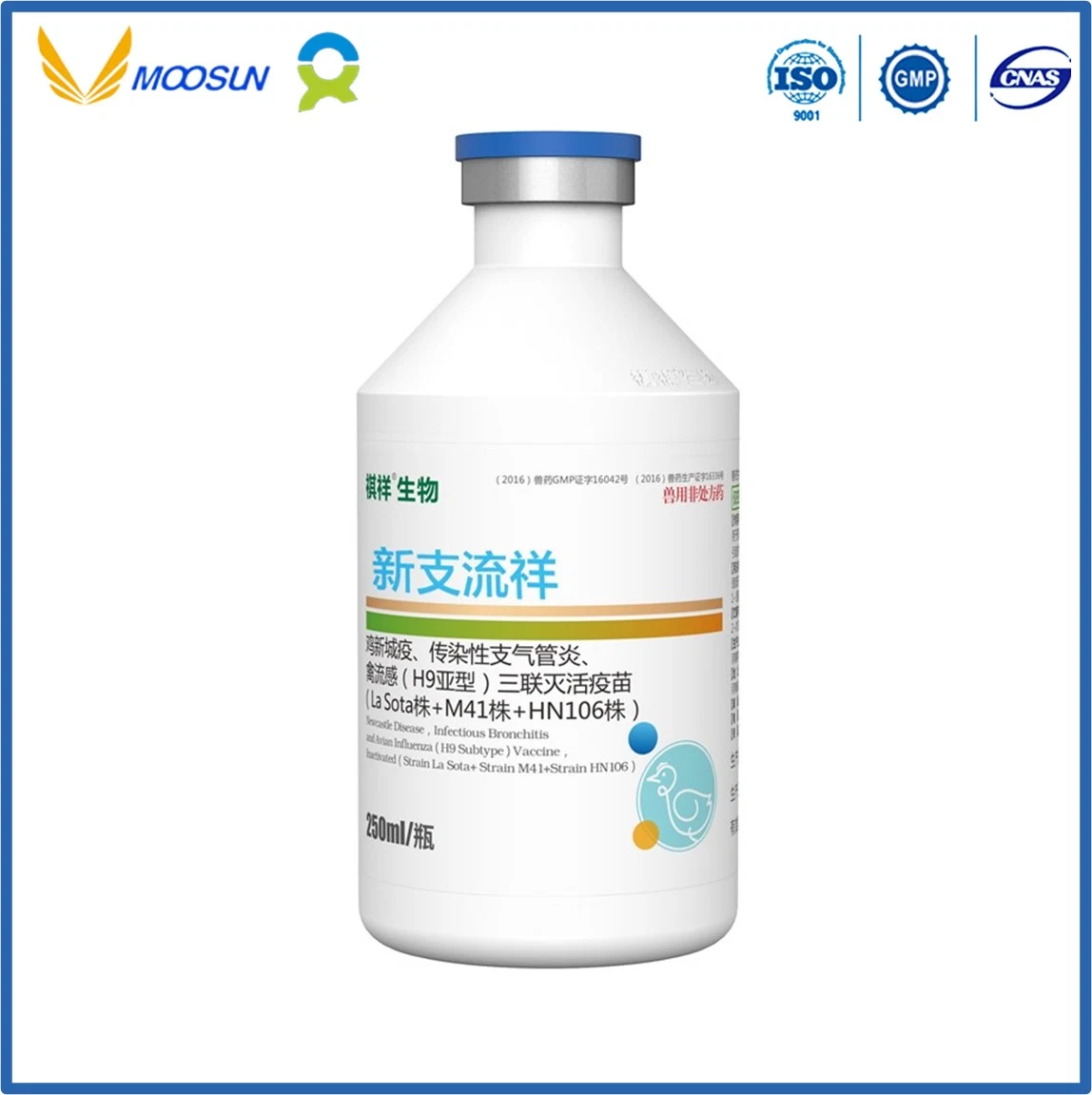 Veterinary Use Vaccine with GMP Avian Pasteurella Multocida Vaccine, Inactivated (Strain 1502) for Poultry