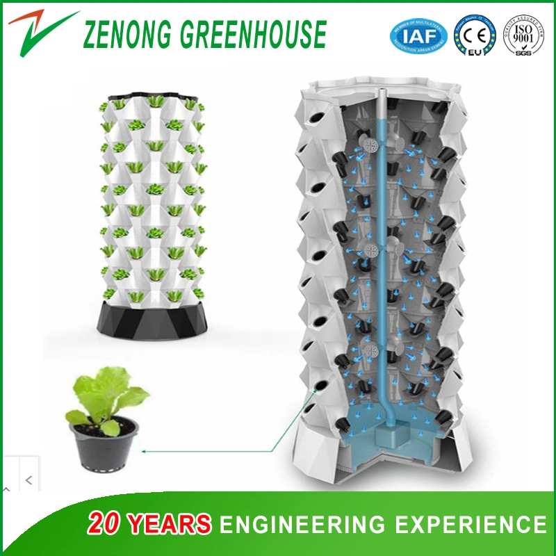 Vertical Hydroponics for Healthy Leafy Vegetable Cultivation/ Balcony Sight Seeing