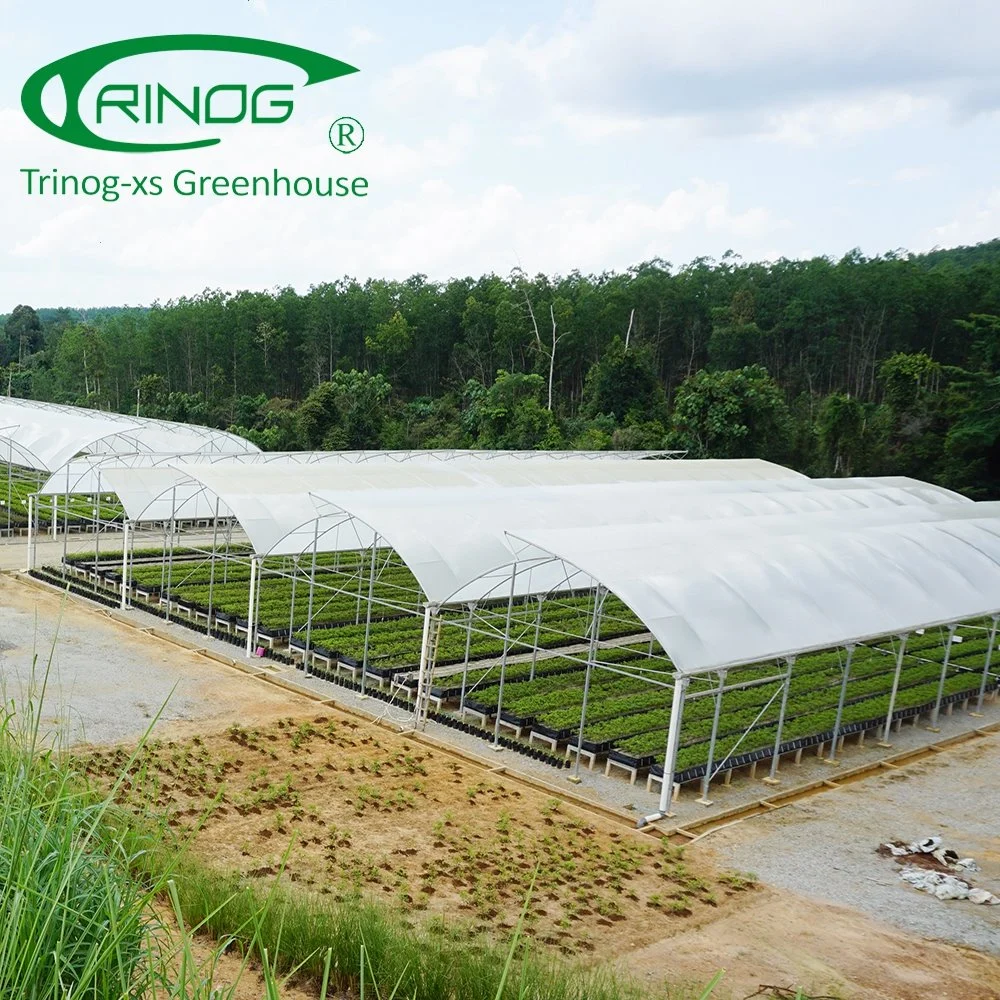 Agricultural HDPE Poly tunnel greenhouse with high quality for sale