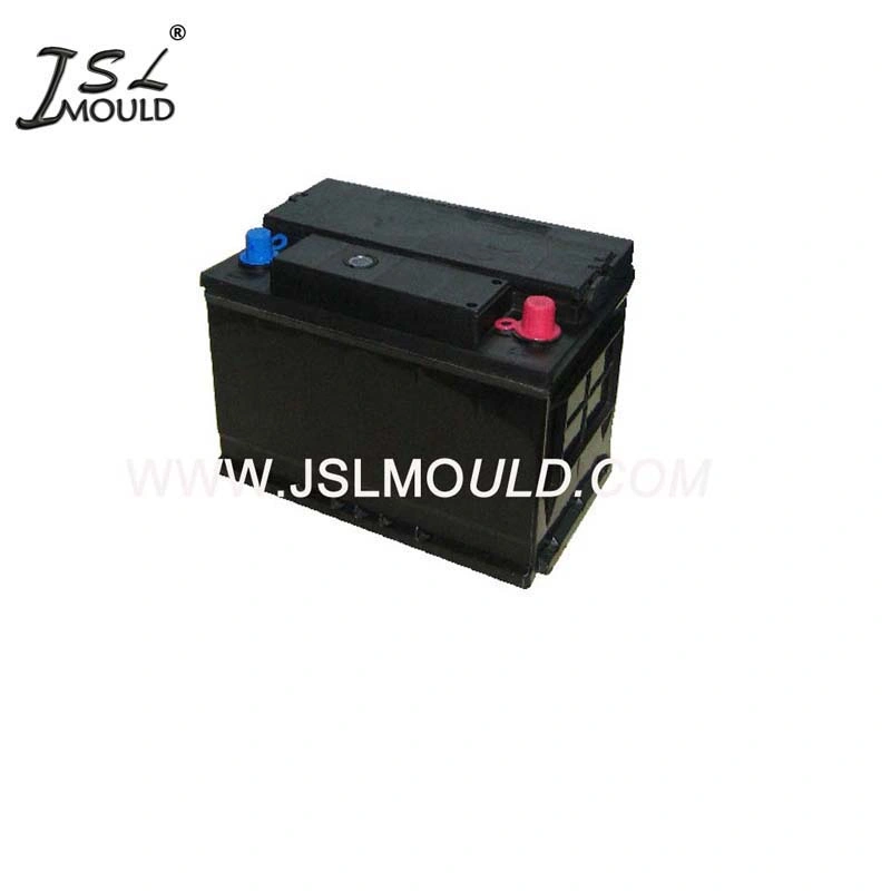 Professional Making Plastic Auto Battery Case Mould