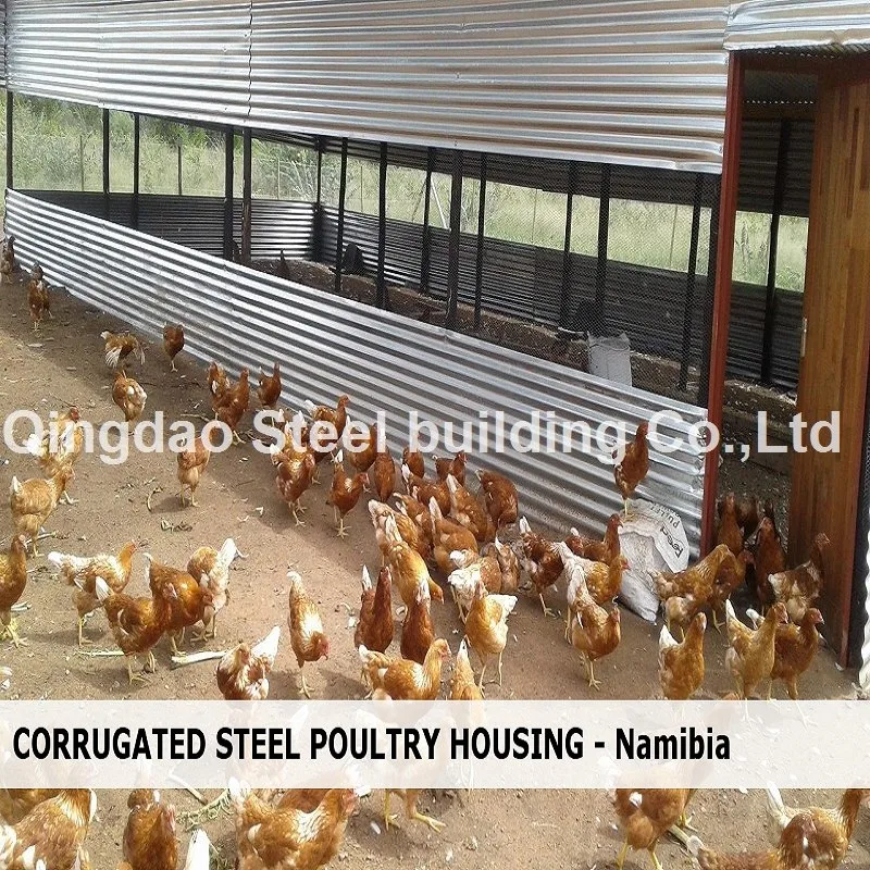 Prefabricated Steel Structure Poultry Farm Animal Husbandry Farm Building