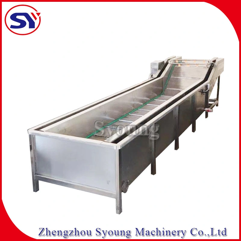 Vegetable Bubble Spray Industrial Washer Conveyor for Beet Root