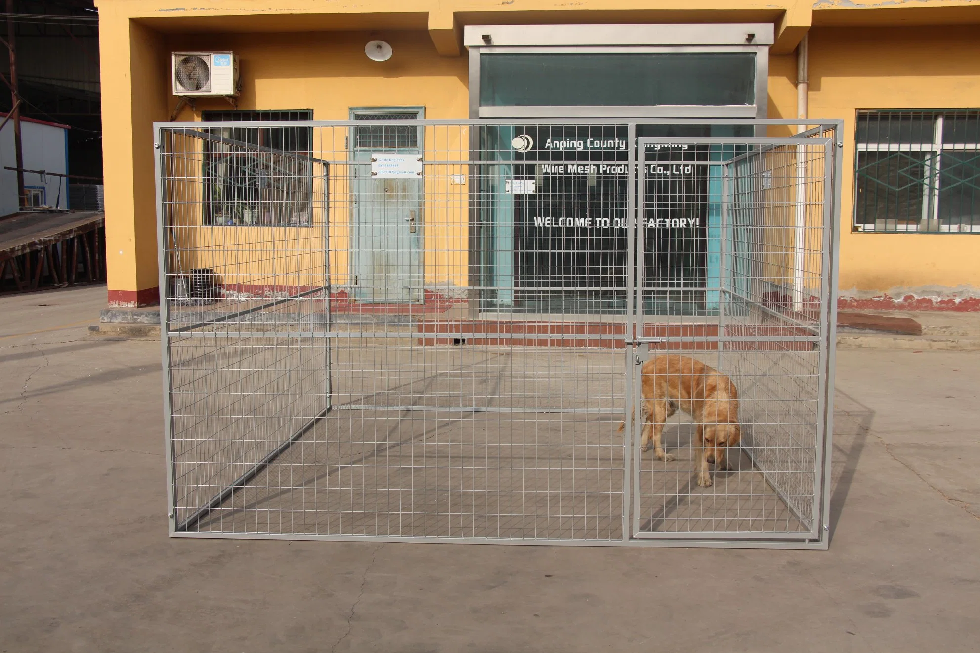 Revestimiento de polvo de bajo coste de la jaula de perro Popular para la venta