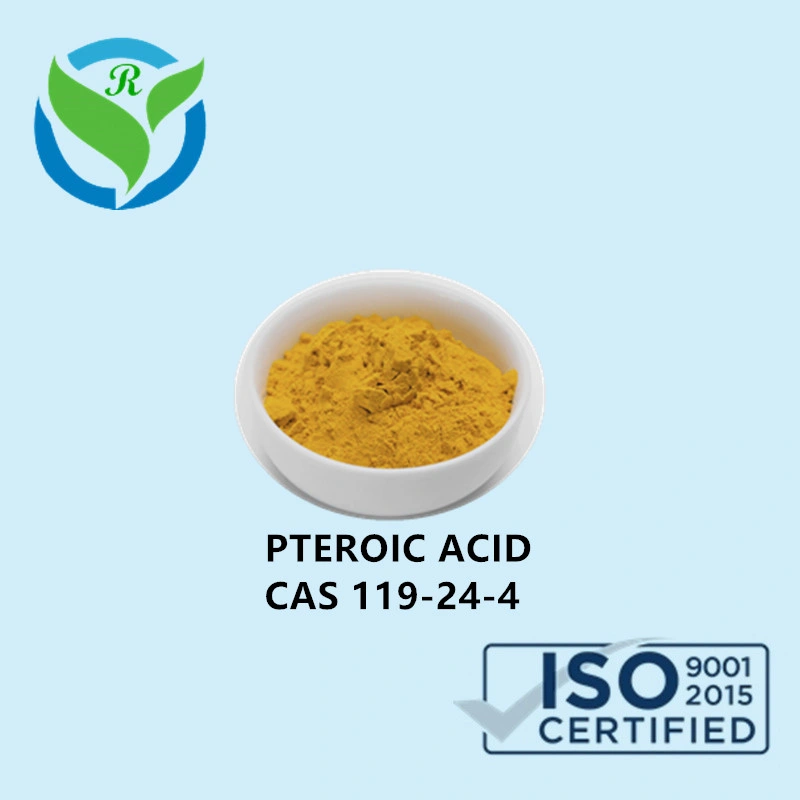 High Quality Pteroic Acid Powder Manufacturer Supply CAS 119 24 4 for Chemical Research