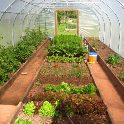 La fabricación de estructura de arco personalizada túnel Multi Sistema de hidroponía agrícola tomate invernadero