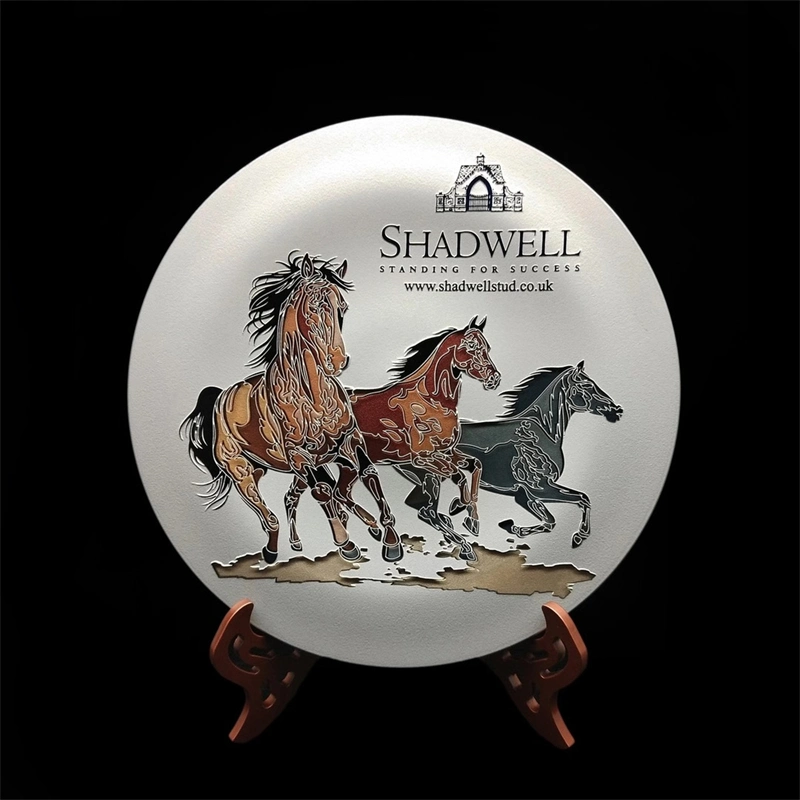 on Sale Support OEM Direct Sales Custom Eco-Friendly Round Metal Trophy Plate Award Plate Souvenir Gifts
