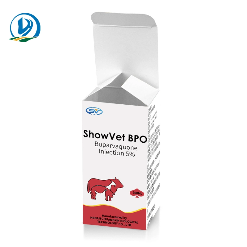 GMP Vitamin B Complex Injection B12 B6 for Animal 50ml 100ml Cxbt