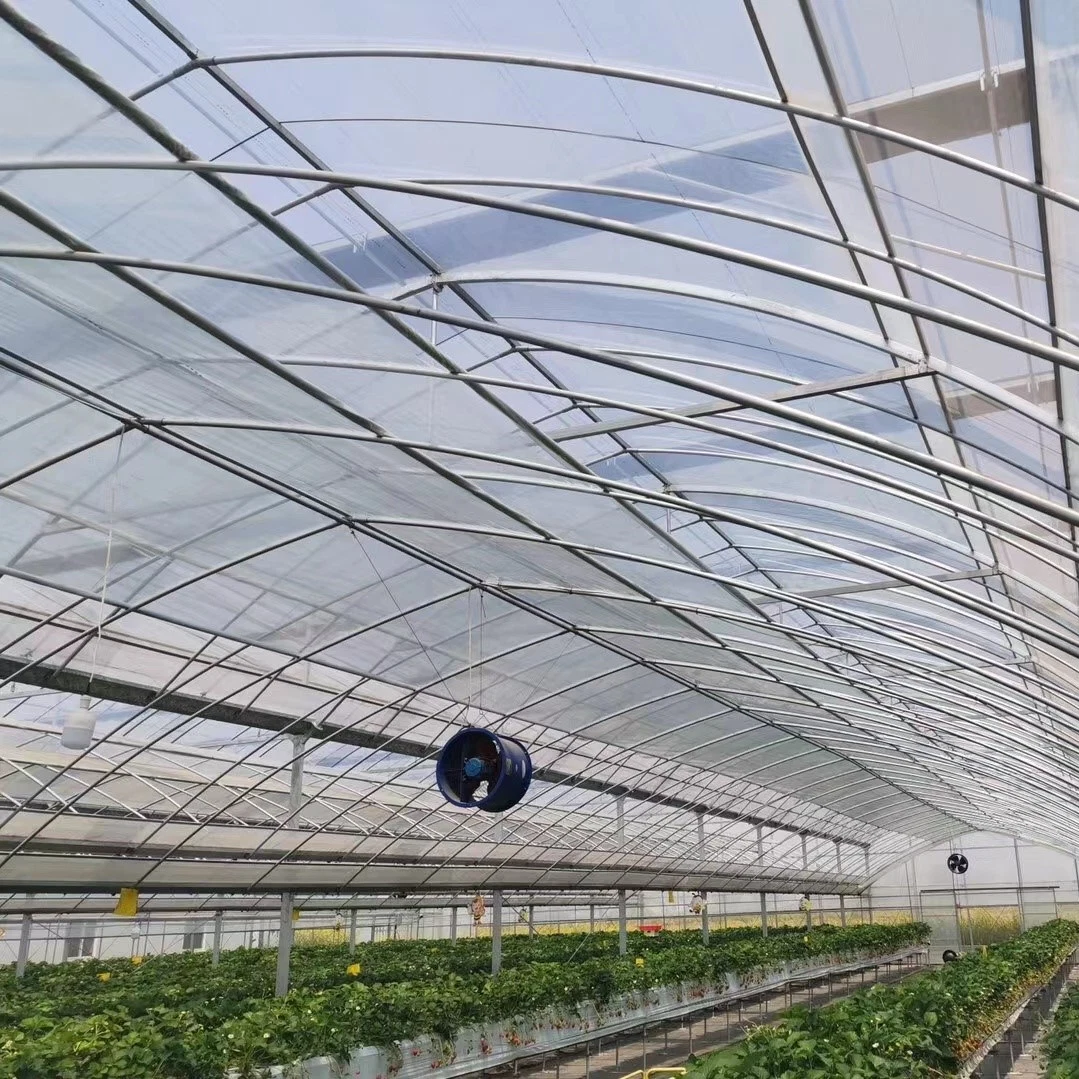 Premium Quality Sustainable Gardening UV Resistant Film Transparent for Greenhouse Roofing Agriculture Low Cost