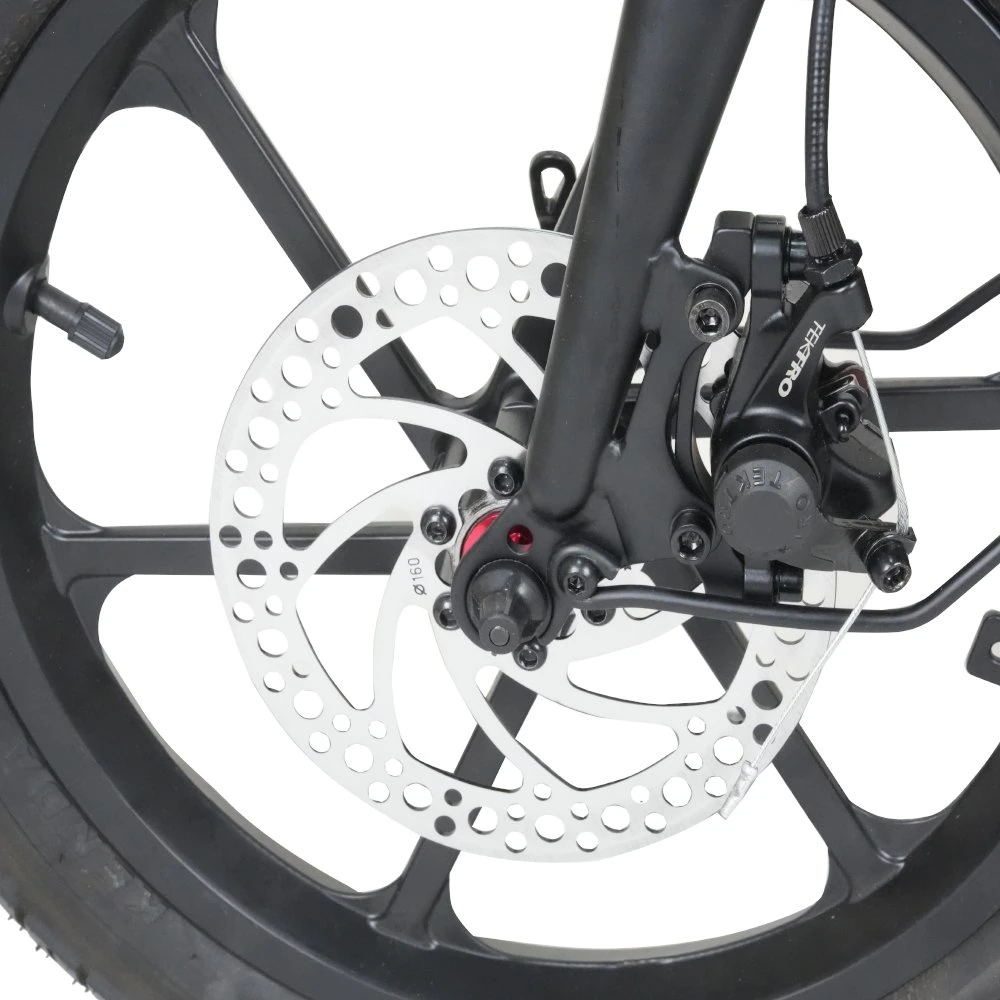 Moto électrique 48V 350W Fat tire vélo électrique repliable