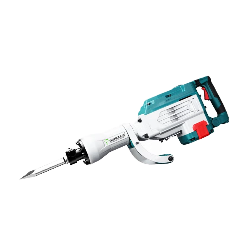 Populus New Arrival Industrial Quality Dca Interchangeable Demolition Hammer pH65A Power Tools Hammer 2000W for Turkish Market