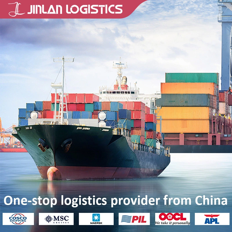 China Forwarder / voo aéreo / Sea Shipping / Express / Logística / consolidar encomendas em conjunto expedição para a China Singapura