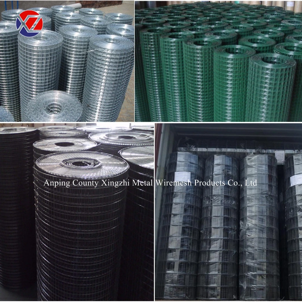 3/4 Inch Galvanized Welded Wire Mesh Protection From Birds