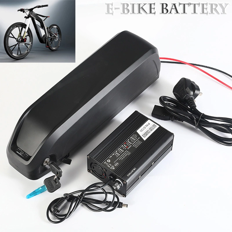 18650-13s 48V 30ah Lithium Polymer E-Bike Battery Pack for Scooter