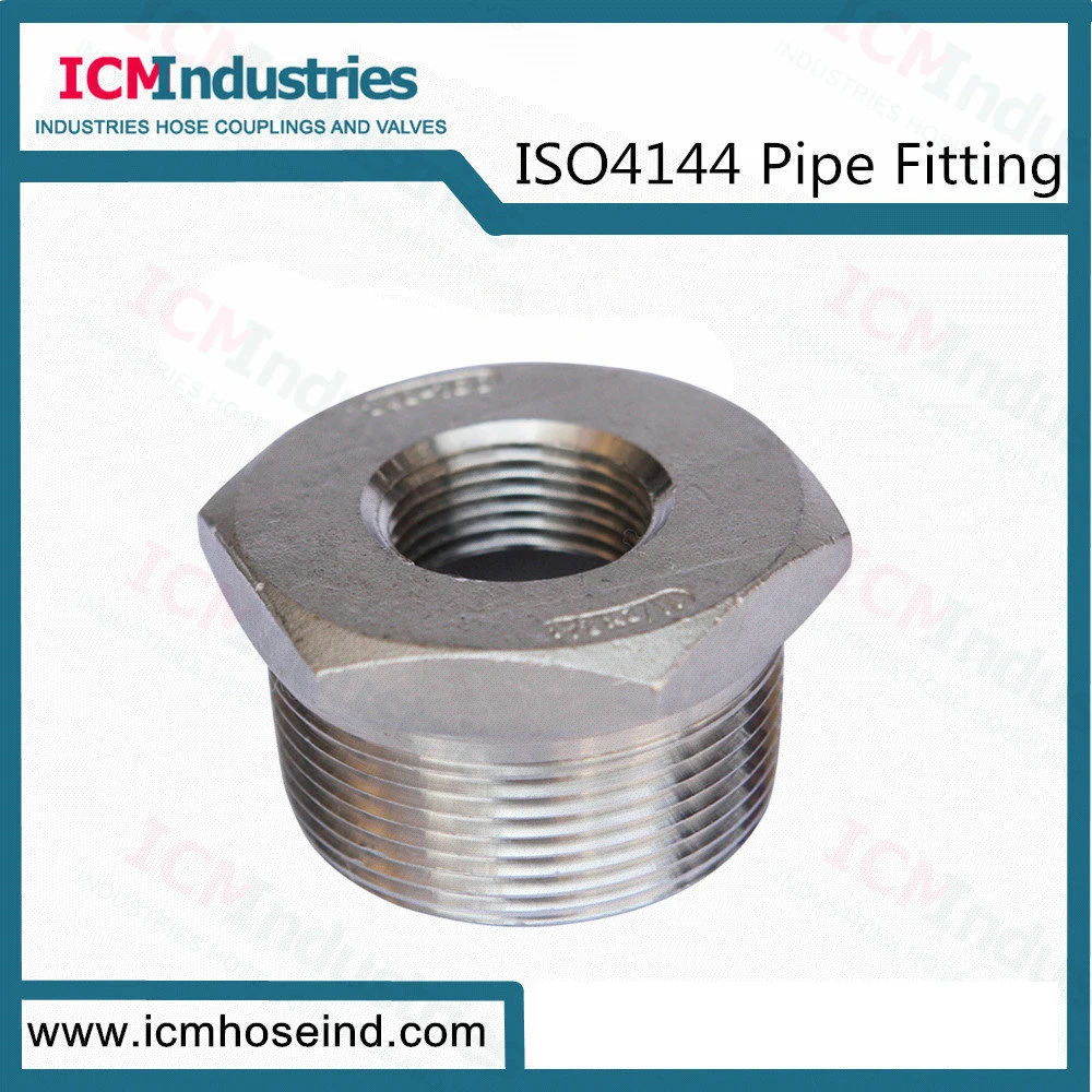 Stainless Steel 45 Degree Elbow Threaded Fittings/ISO 4144 Pipe Fitting