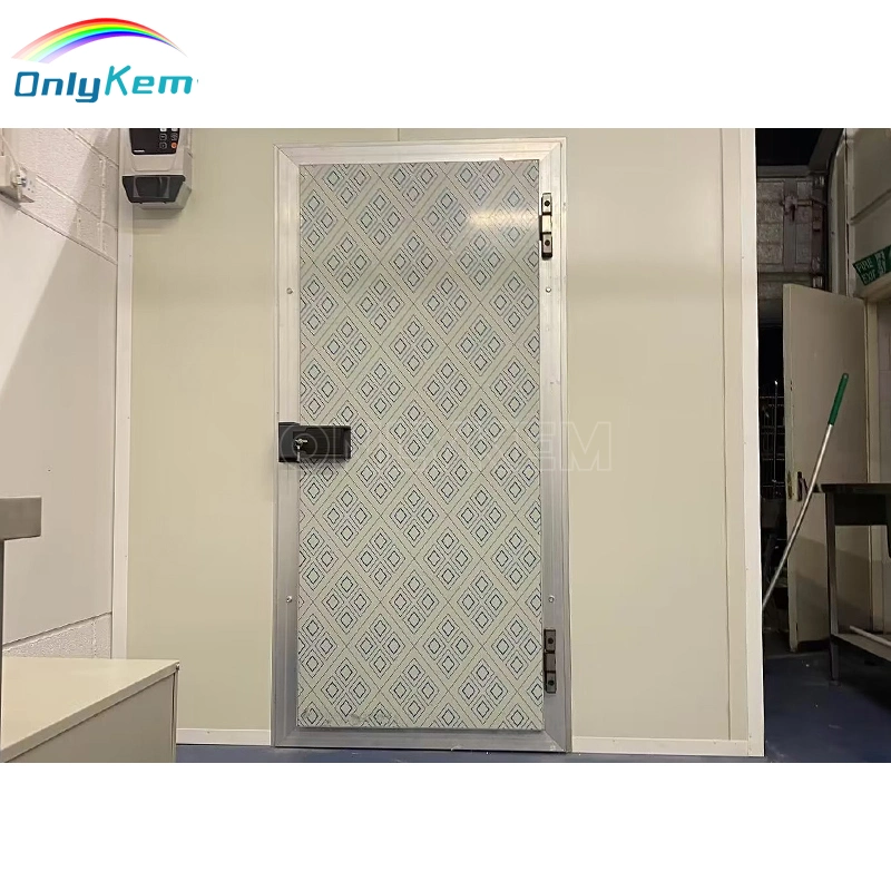 Industrial Thermal Insulated Stainless Steel Hinged Cold Room Swing Door for Blast Freezer Room