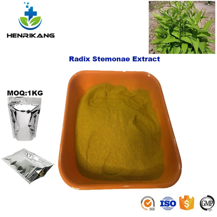 High Purity Natural Radix Stemonae Extract Used for Pharmaceutical Intermediate