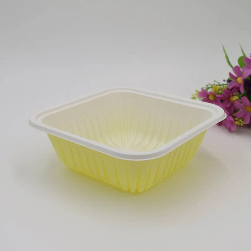 Chinese-Style Disposable Plastic Dinnerware Single-Compartment Burger Box with Lid for Party (dB-004)