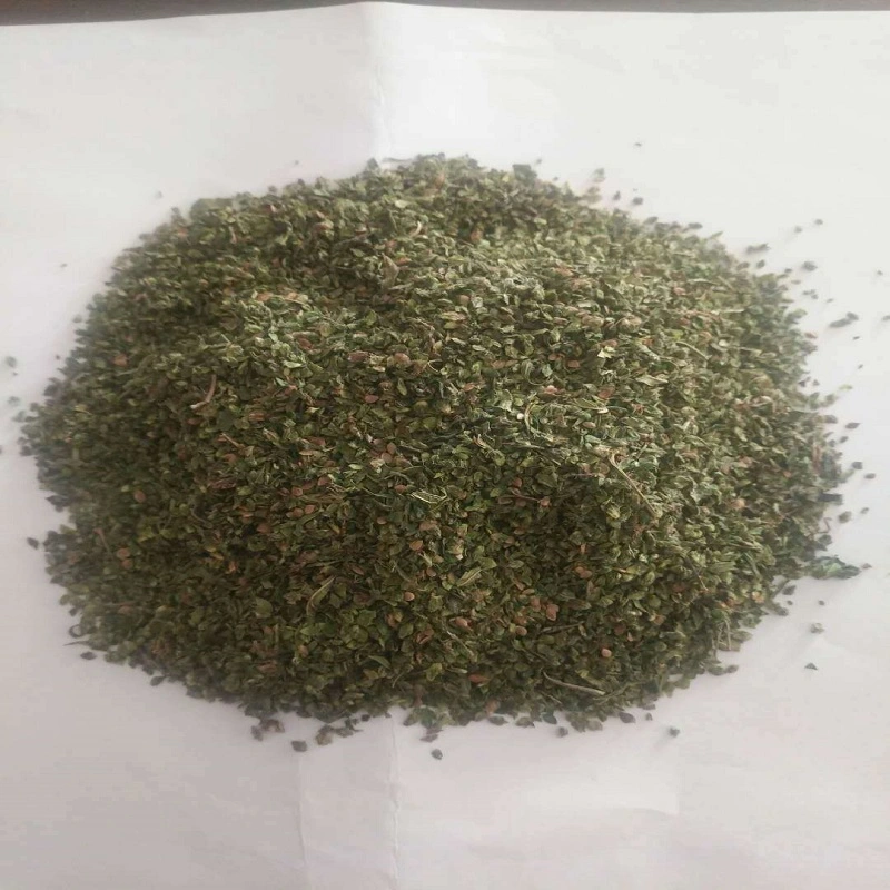 Qian Ma Zi Xinjiang Origin Urtica Cannabina Seeds