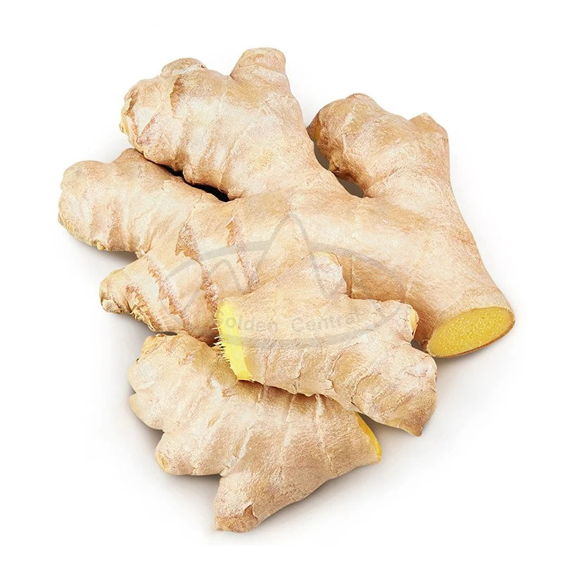 Hot Sale Fresh New Crop Yellow Fresh Ginger