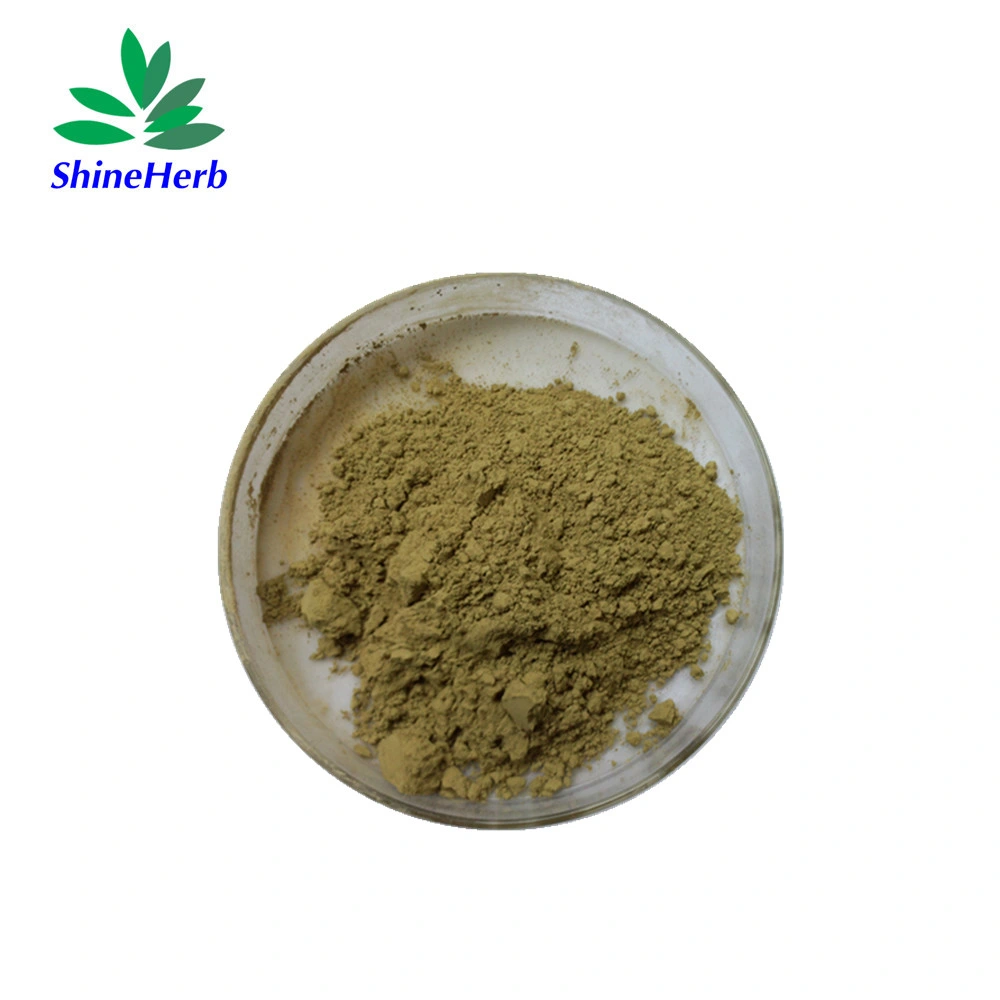 Cimicifuga Foetida L Root Extract Powder 2.5% Triterpene Glycosides Black Cohosh Extract