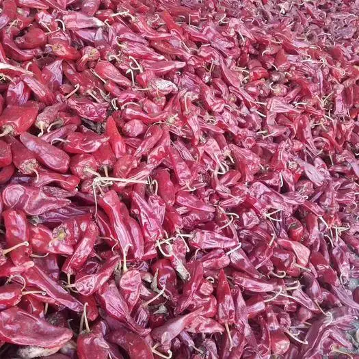 Manufacturer New Crop Dehydrated Beijing Red Chili