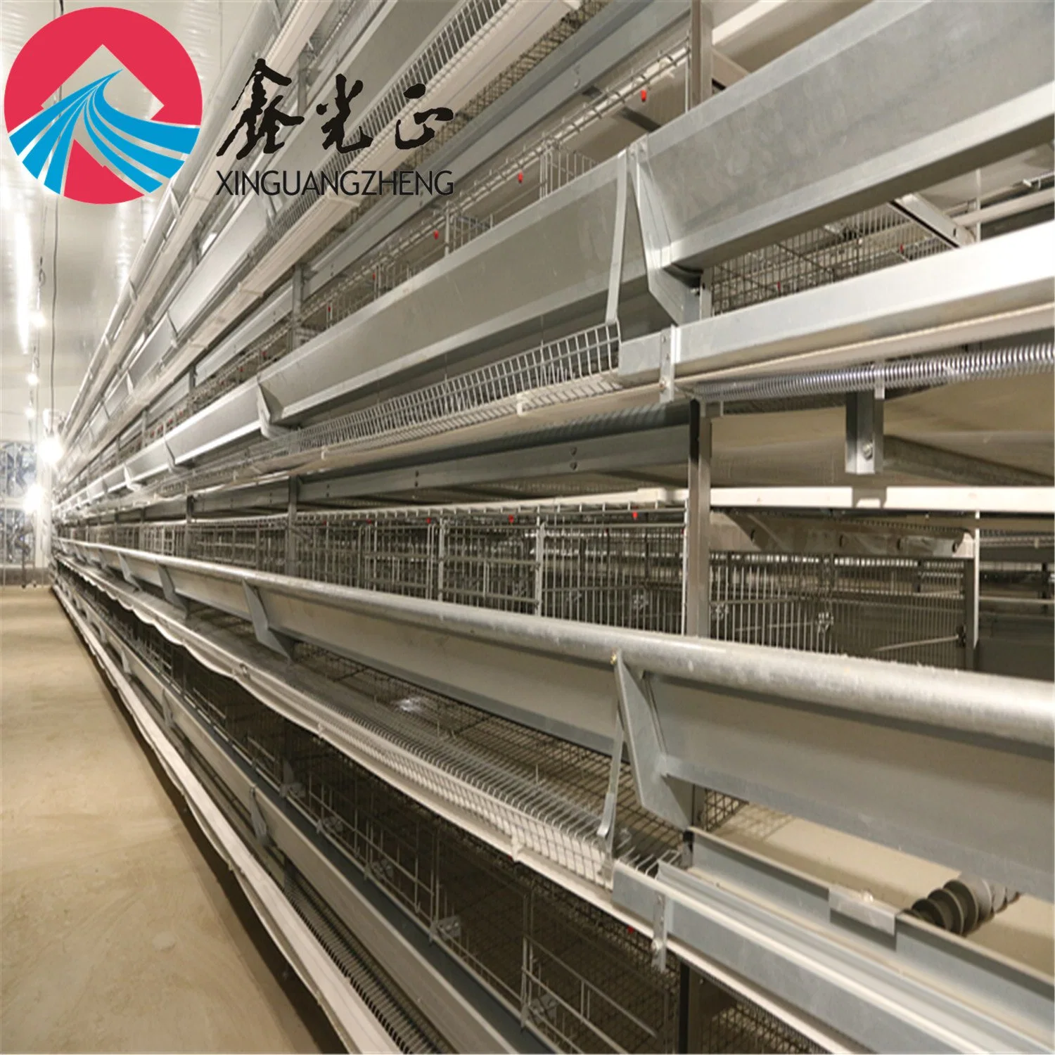 Steel Structure Chicken Use Chicken Farm Broiler Chicken House