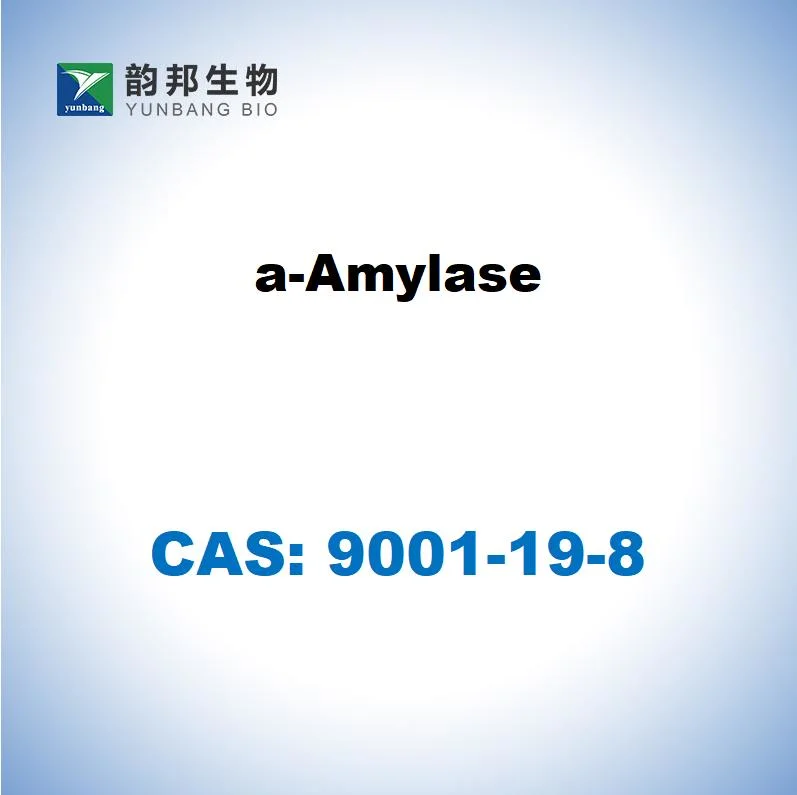 Inquiry CAS No 9001-19-8 a-Amylase Powder