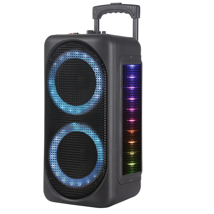 Portable PA Speaker System Karaoke Machine for Christmas Party Wedding Gathering