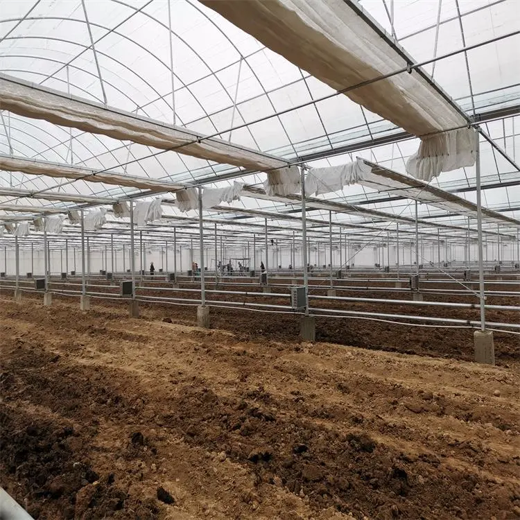 2023 Neue Muti-Span Plastikfolie Poly Tunnel Gewächshaus Landwirtschaft Sägezahn Grüne Häuser mit holländischem Eimer-System Erdbeer-Hydrokultur mit Kühlung System