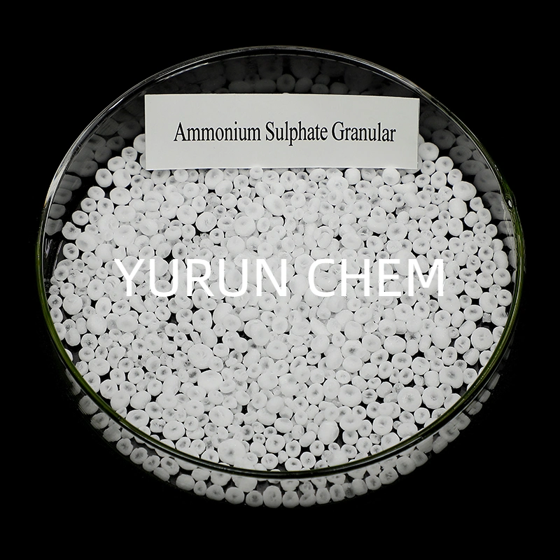 Sulfate d'Ammonium Sulfate d'Ammonium/Grade Caprolactom Crystal