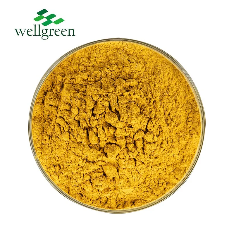 Bulk Price Natural Organic Vegetable Fruit Supplement Spray Dried Pumpkin Powder