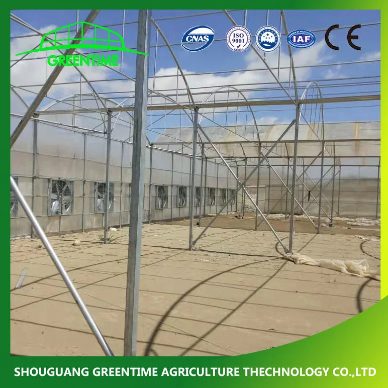 Round Type Polycarbonate Plastic PC Greenhouse for Vegetables/Flowers/Tomato/Cucumber Cultivation with Cooling System