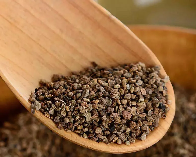 Di Fu Zi Factory Supply Best Price Chinese Herbal Medicine Kochia Scoparia Seeds Formula Granule