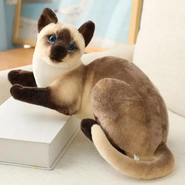 Gato Siamês realistas recheadas de simulação de Peluche Bonitinha Cat Doll Pet Brinquedos Decoração Dom