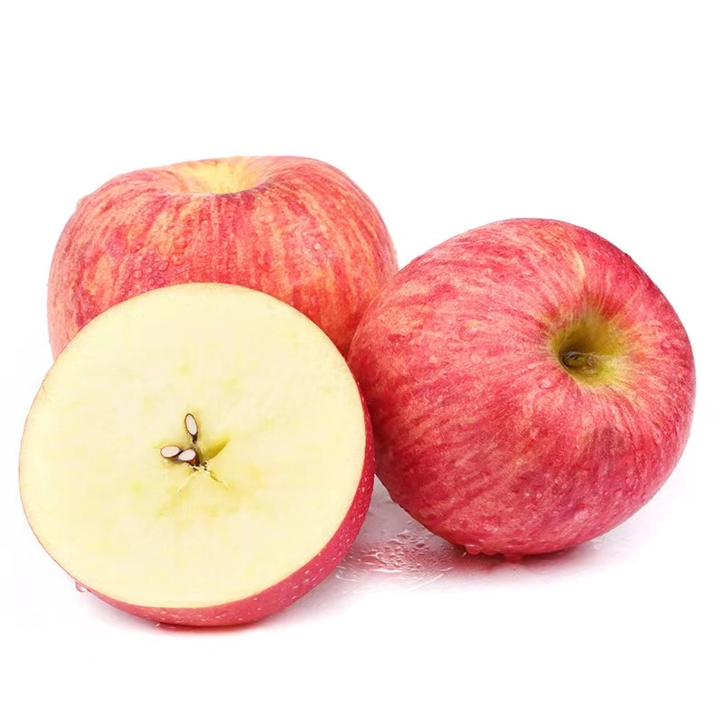 China Fresh Fruit Hot Sale Selected Quality Fresh Red Apple Corp FUJI