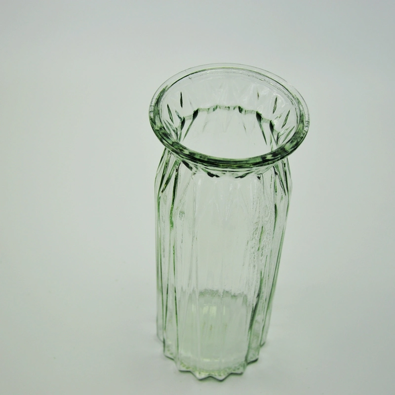 Transparent Lead Free Wide Mouth Embossed Hydroponic Glass Craft Vase