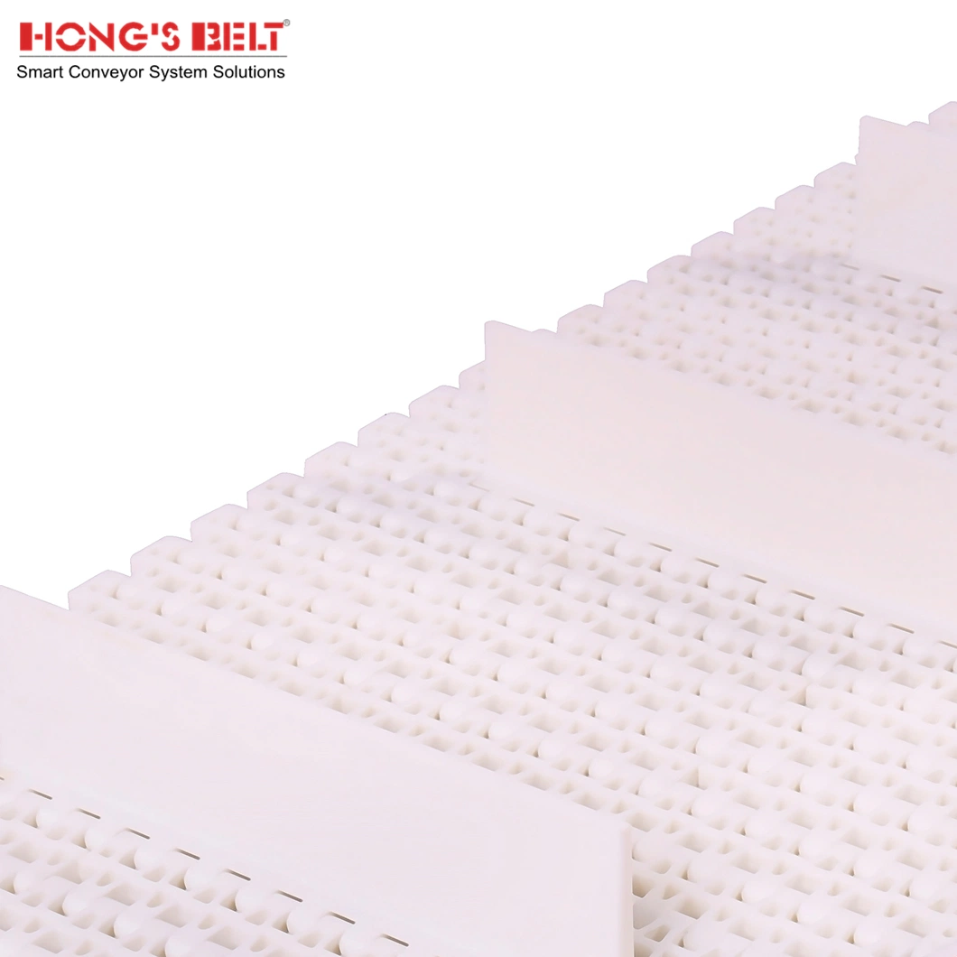 Hongsbelt Plastic Flat Top Belt Conveyor for Sale Industrial Transmission Modular Belt