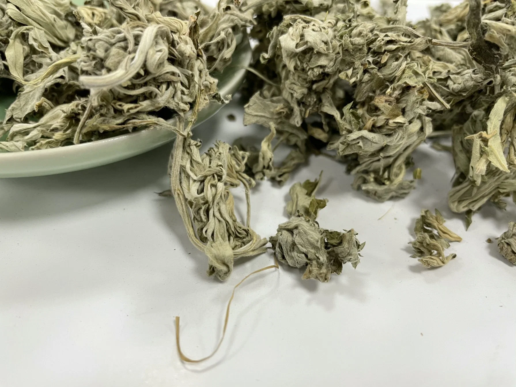 Artemisiae Argyi Folium Argyi Aiye fournisseur chinois Herb traditionnel chinois